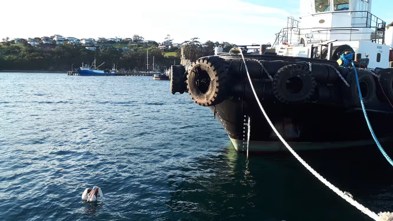 Jetty Balloon Fender Installation - Photo 1